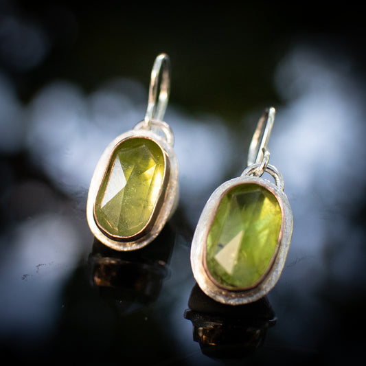 Sunlit Meadow Earrings
